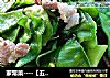 家常菜----【五花肉烧扁豆】的做法