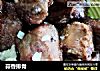 蒜香排骨做法（41）的做法
