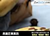 燕麦芒果果昔的做法