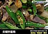 尖椒炒腊肉的做法