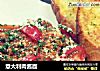 意大利肉酱面的做法