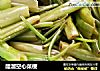 醋溜空心菜梗的做法