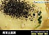 肉末土豆泥的做法