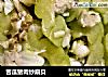 苦瓜猪肉炒扇贝的做法