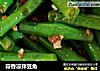 蒜香凉拌豆角的做法