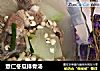 薏仁冬瓜排骨汤的做法