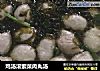 鸡汤滚紫菜肉丸汤的做法