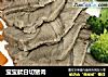 宝宝款白切猪肉的做法