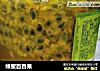 蜂蜜百香果的做法