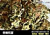 香椿煎蛋的做法