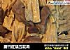 腐竹红烧五花肉的做法
