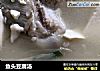 鱼头豆腐汤的做法