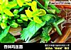 香辣鸡丝面的做法