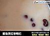 鲫鱼煲红枣枸杞的做法