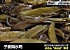 子姜焖水鸭的做法