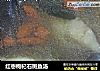 红枣枸杞石斑鱼汤的做法