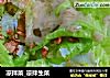 凉拌菜_凉拌生菜的做法