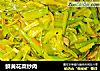 鲜黄花菜炒肉的做法