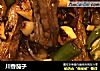 川香茄子的做法