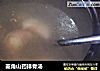 菱角山药排骨汤的做法
