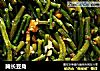 腌长豆角的做法