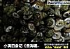 小满日食记《煮海辘辘》的做法