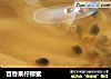 百香果柠檬蜜的做法