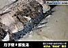 月子餐＃鲫鱼汤的做法