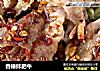 香椿拌肥牛的做法