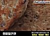香酥茄子饼的做法