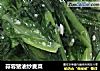 蒜蓉猪油炒麦菜的做法