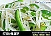 灯椒炒绿豆芽的做法