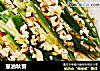 葱油秋葵的做法
