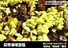 蒜香咖喱面包的做法