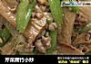 芹菜腐竹小炒的做法