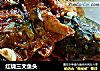 红烧三文鱼头的做法