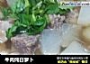 牛肉炖白萝卜的做法