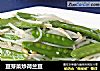 豆芽菜炒荷兰豆的做法