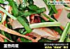 韭香肉粄的做法