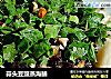 蒜头豆豉蒸海鳝的做法