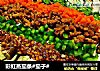 彩虹蒸茄条#茄子#的做法