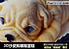 3D沙皮狗慕斯蛋糕的做法