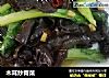 木耳炒青菜的做法