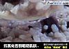 抗氧化告别粗糙肌肤---【紫薯燕麦芝麻粥】的做法