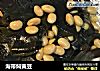 海带焖黄豆的做法