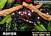 肉丝炒苔菜的做法
