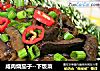 咸肉烧茄子--下饭菜的做法