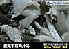 酸菜平菇肉片汤的做法