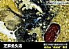 芝麻鱼头汤的做法