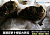 豆腐皮萝卜缨馅大蒸饺的做法